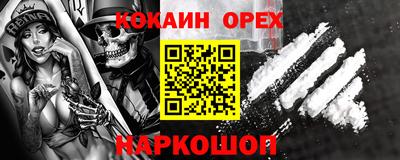 кокс Кингисепп