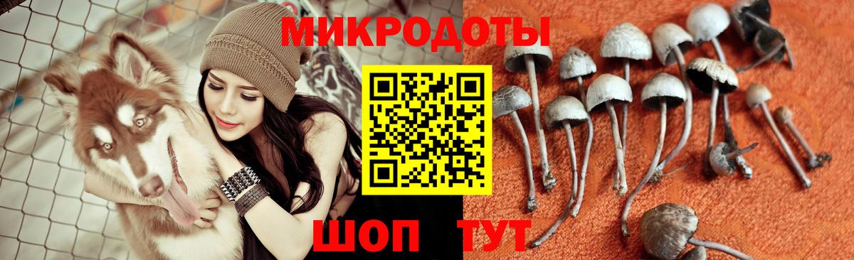 Псилоцибиновые грибы Cubensis  Галлюциногенные грибы прущие грибы  Хабаровск  Вход с VPN 