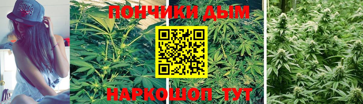 Конопля сатива Хабаровск